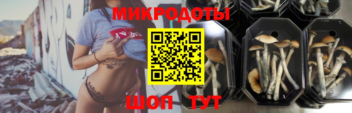 Псилоцибиновые грибы Psilocybine cubensis  Галлюциногенные грибы Cubensis  Рославль  Вход с VPN 